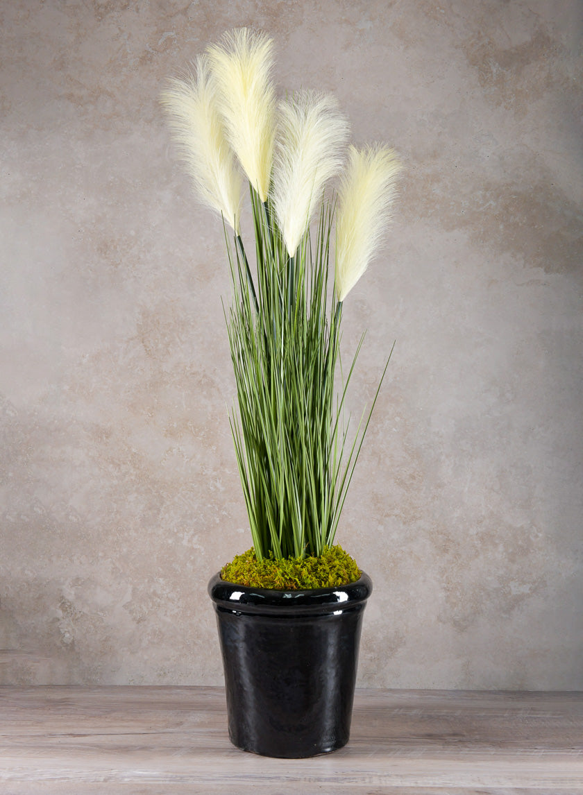 36in Tall Onion Grass Decor Jamaligarden