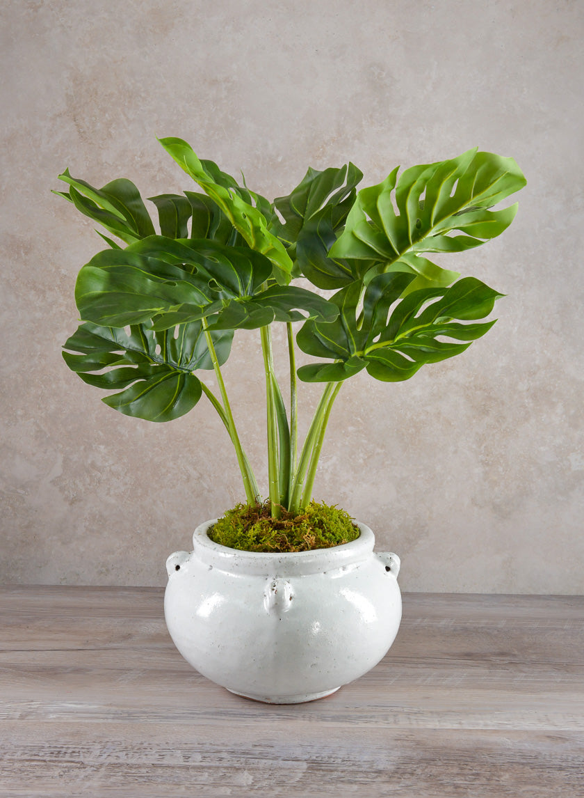 Jakarta Bowl Clay &amp; Ceramic Planters, Cloud White Decor Jamaligarden