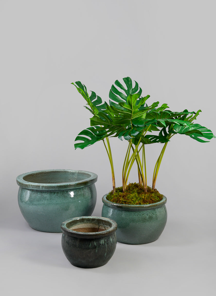 12in Low Bowl Planter, Bali Jade Decor Jamaligarden