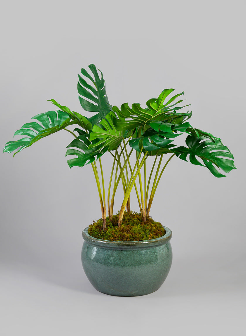 16.5in Low Bowl Planter, Bali Jade Decor Jamaligarden