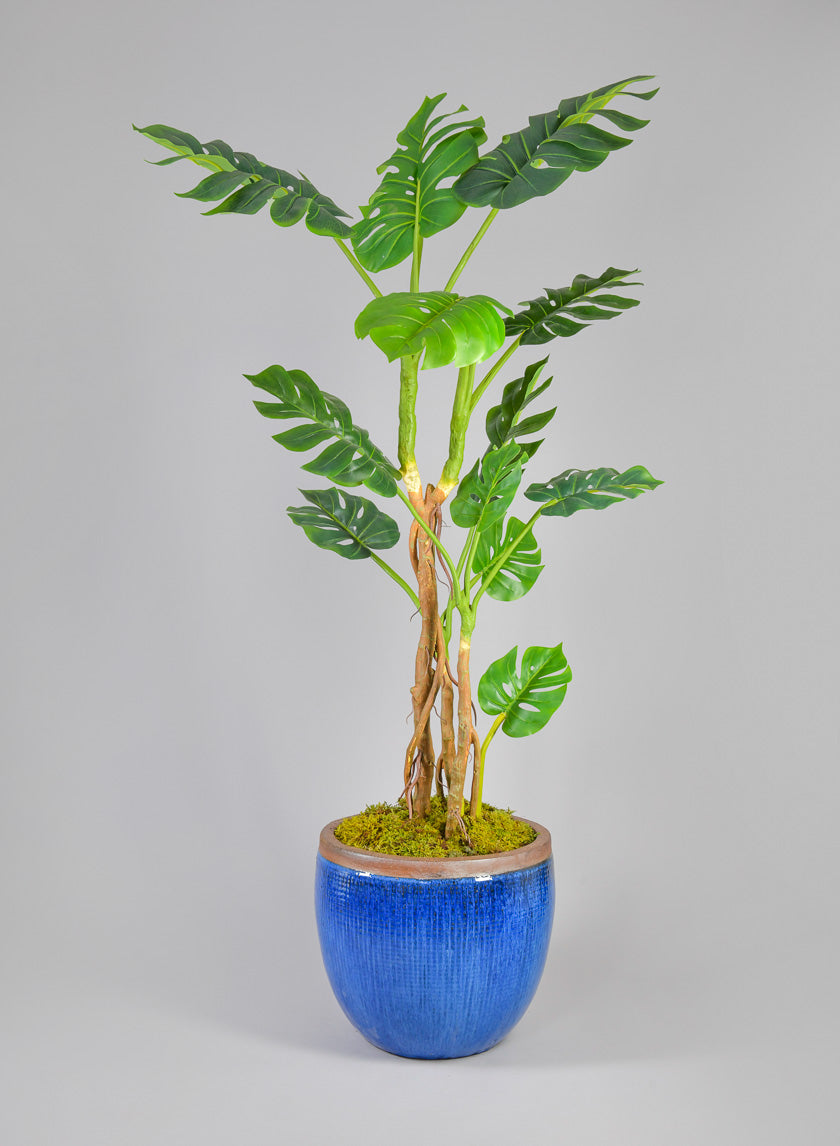 Rimmed Clay &amp; Ceramic Planter Bowl, Santorini Blue Decor Jamaligarden