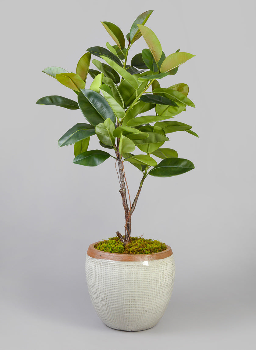 16.5in Rimmed Bowl Planter, Yucatan Stone White Decor Jamaligarden