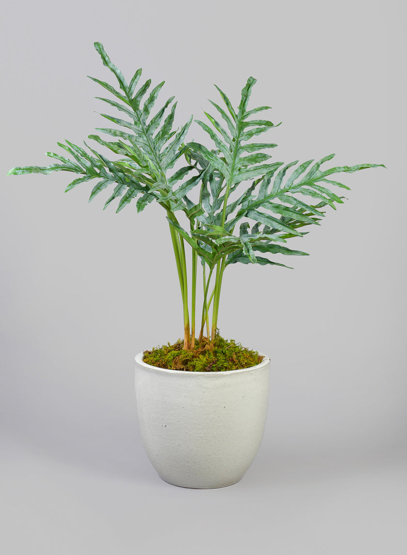 Belize Egg Clay &amp; Ceramic Planter, Cloud White Decor Jamaligarden