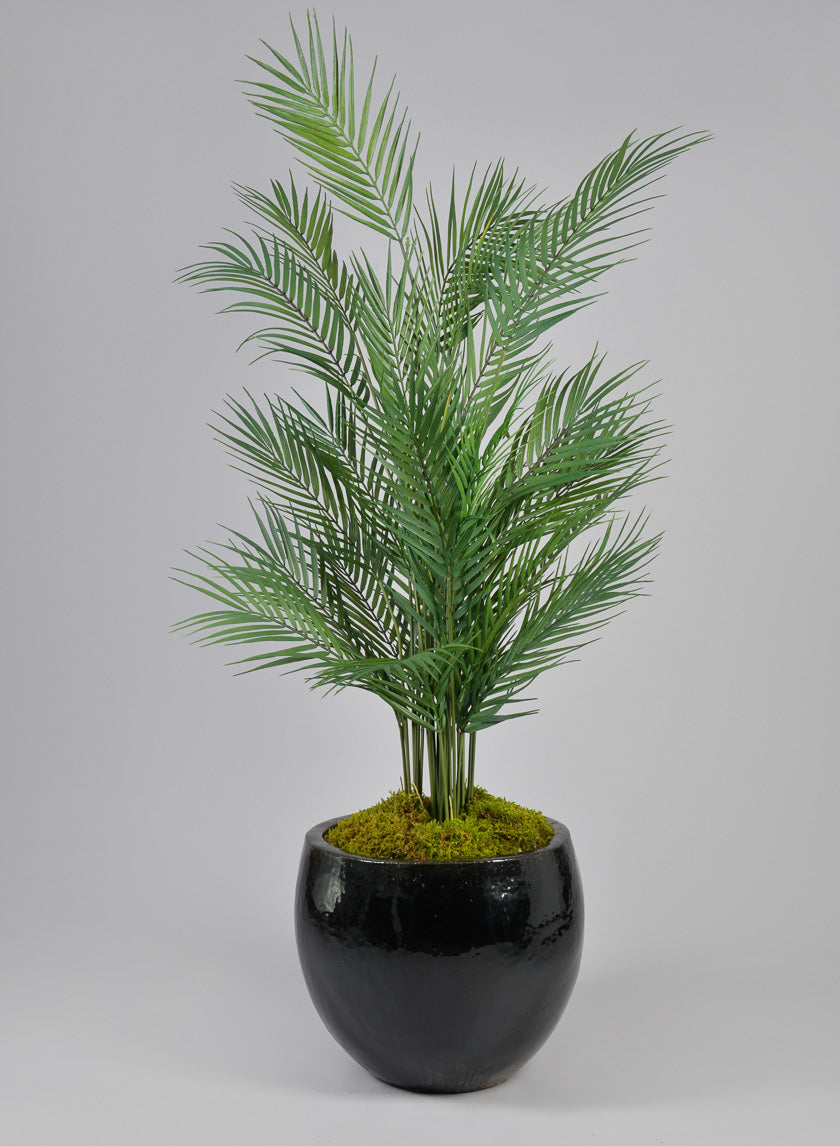 Grand Bowl Clay &amp; Ceramic Planter, Mesquite Black Decor Jamaligarden