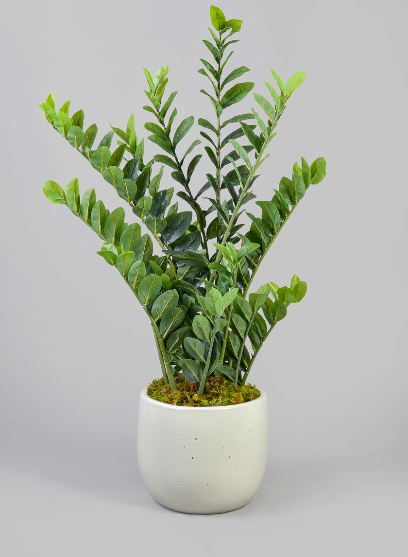 Deck Clay &amp; Ceramic Planters, Yucatan White Decor Jamaligarden