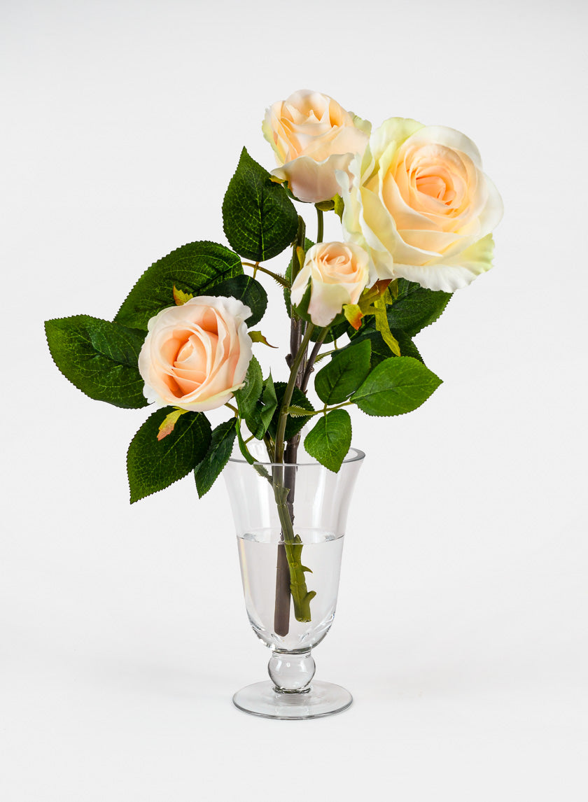 Vienna Clear Glass Urns Decor Jamaligarden