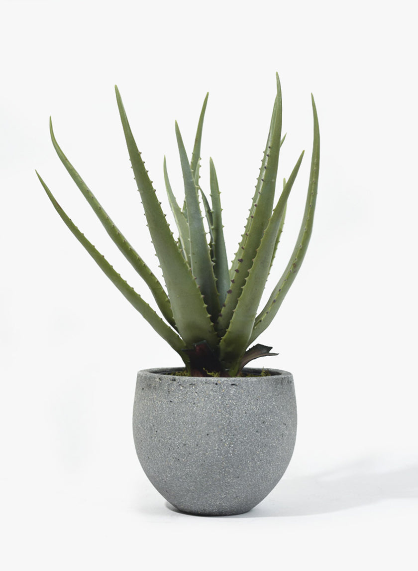 Round Rough Grey Ficonstone Pots Decor Jamaligarden