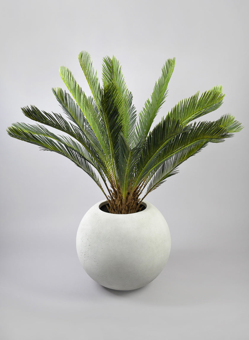 20in Wide Rivera Lava Concrete Bone White Bowl Planter Decor Jamaligarden