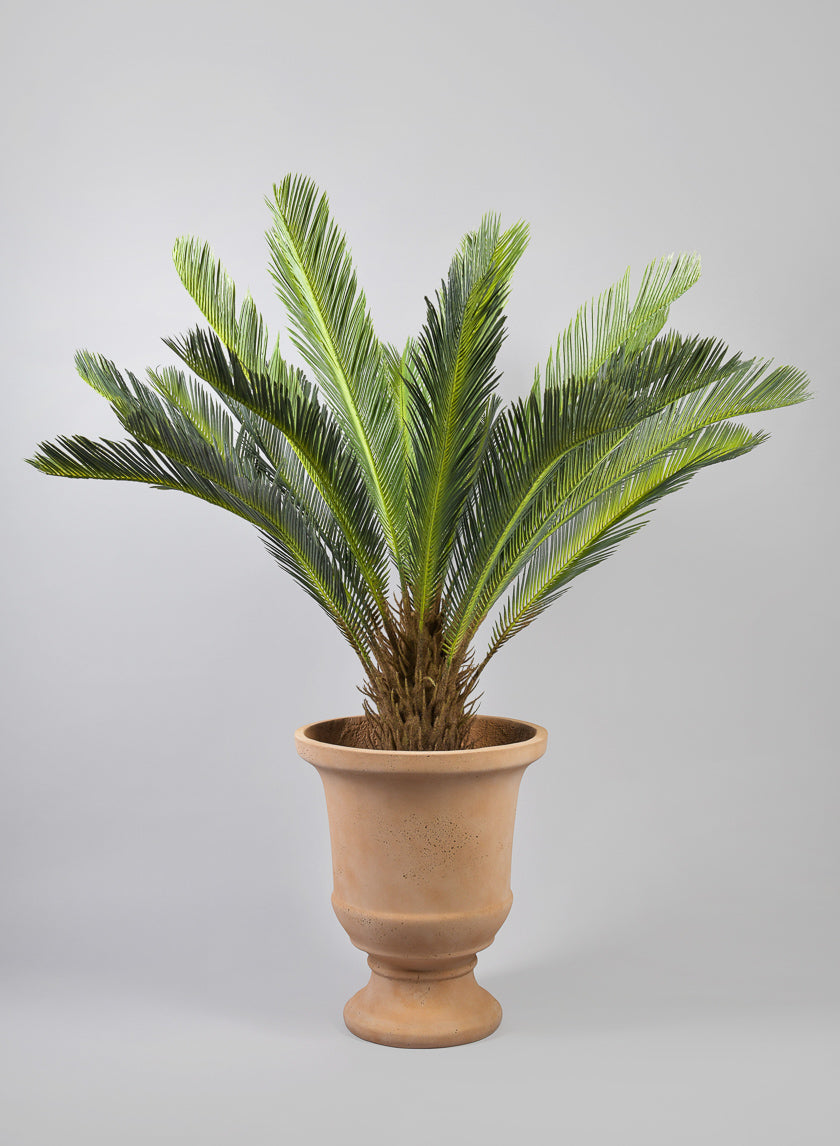 44in Tall Sago Palm Tree Decor Jamaligarden