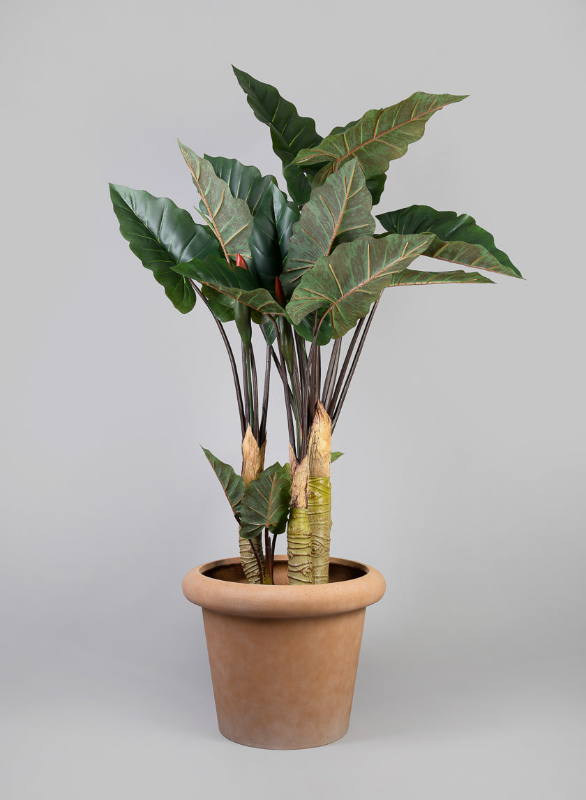 Chino Bevelled Edge Lava Concrete Terracotta Look Pot Decor Jamaligarden