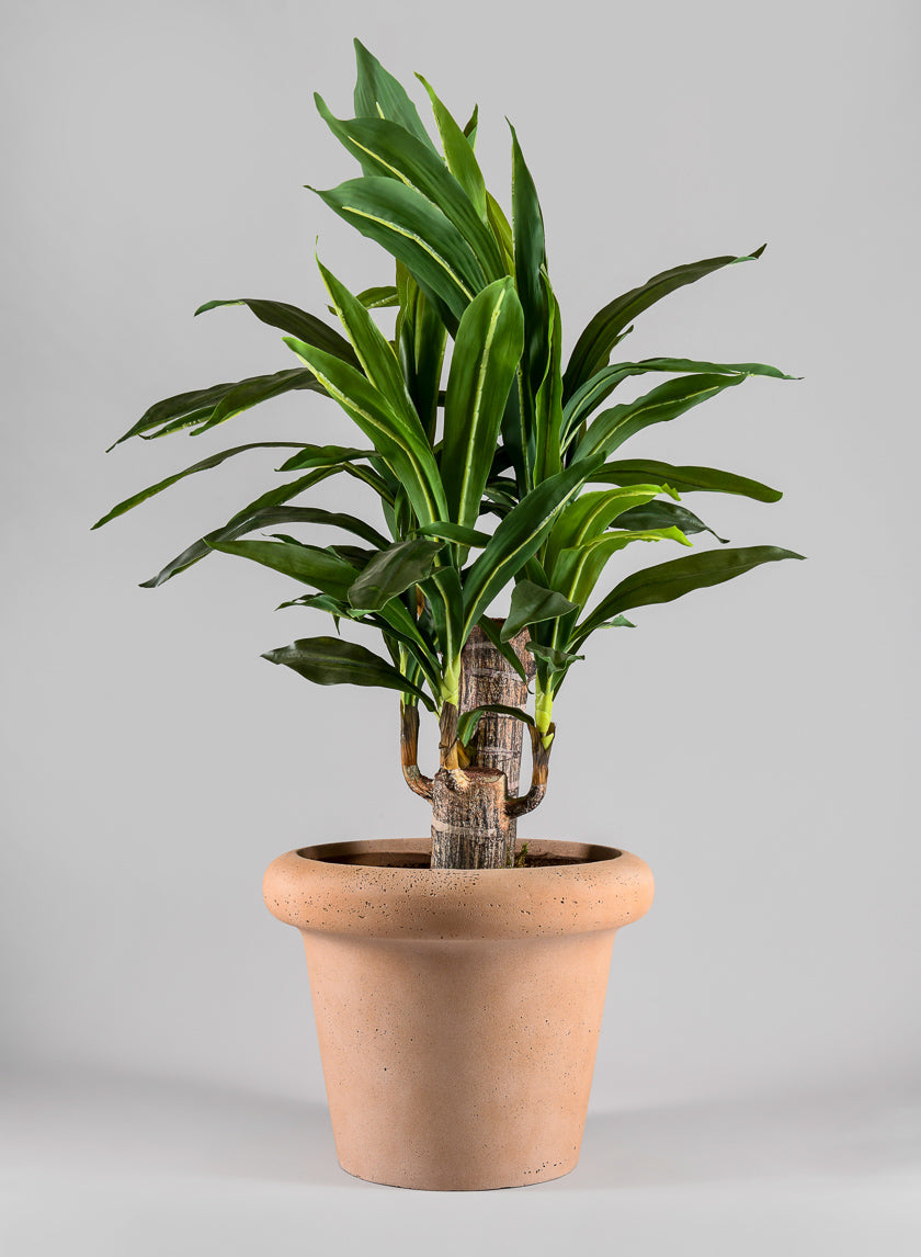 Chino Bevelled Edge Lava Concrete Terracotta Look Pot Decor Jamaligarden