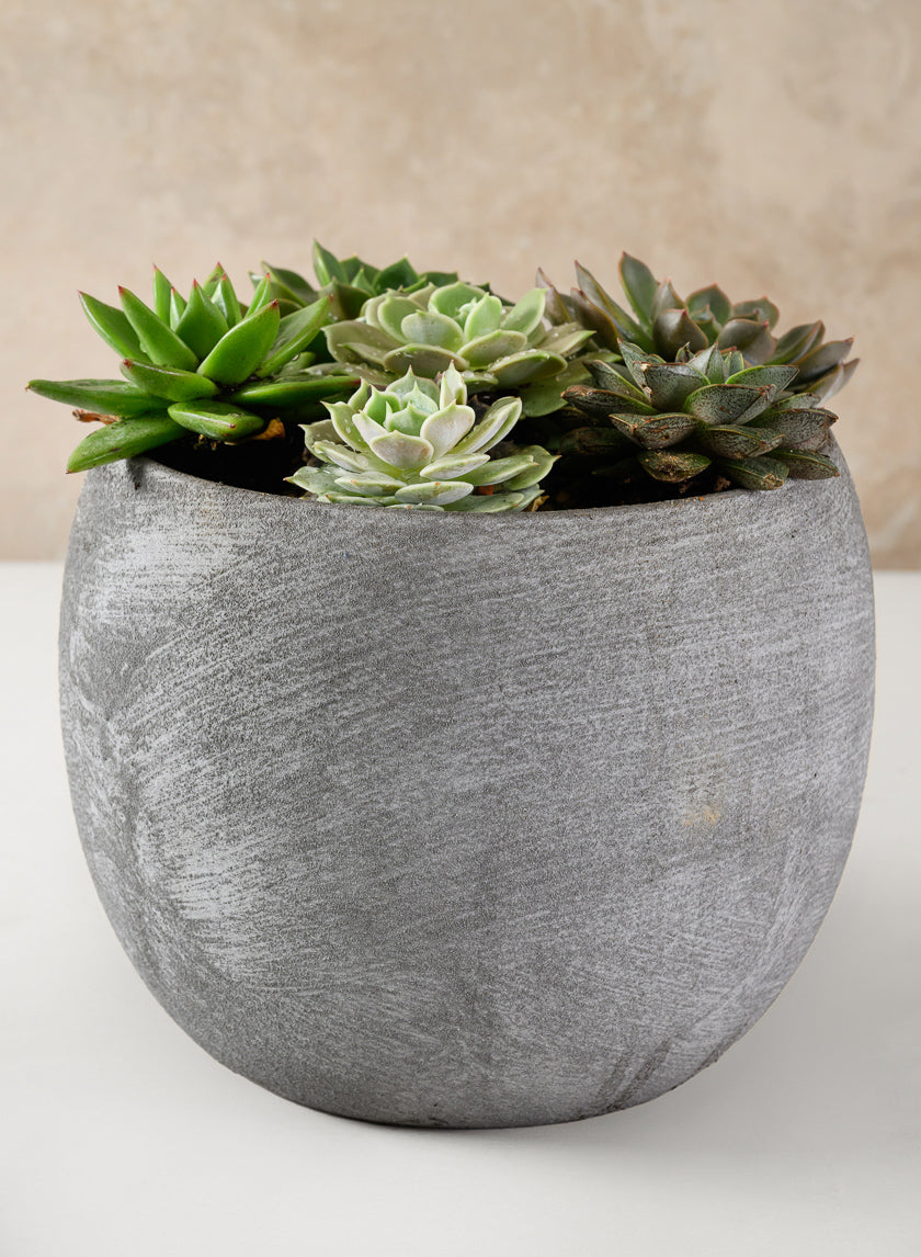 Iquitos Venetian Grey Ceramic Pot Decor Jamaligarden