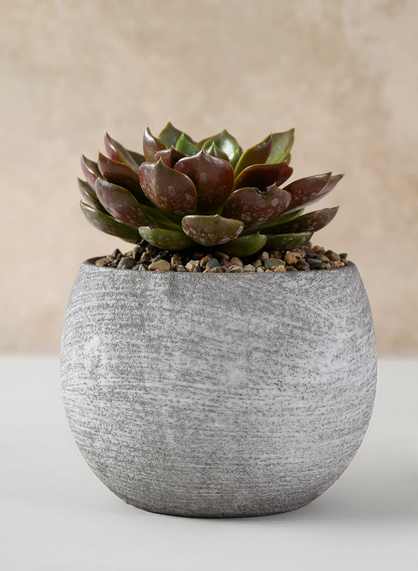 Iquitos Venetian Grey Ceramic Pot Decor Jamaligarden