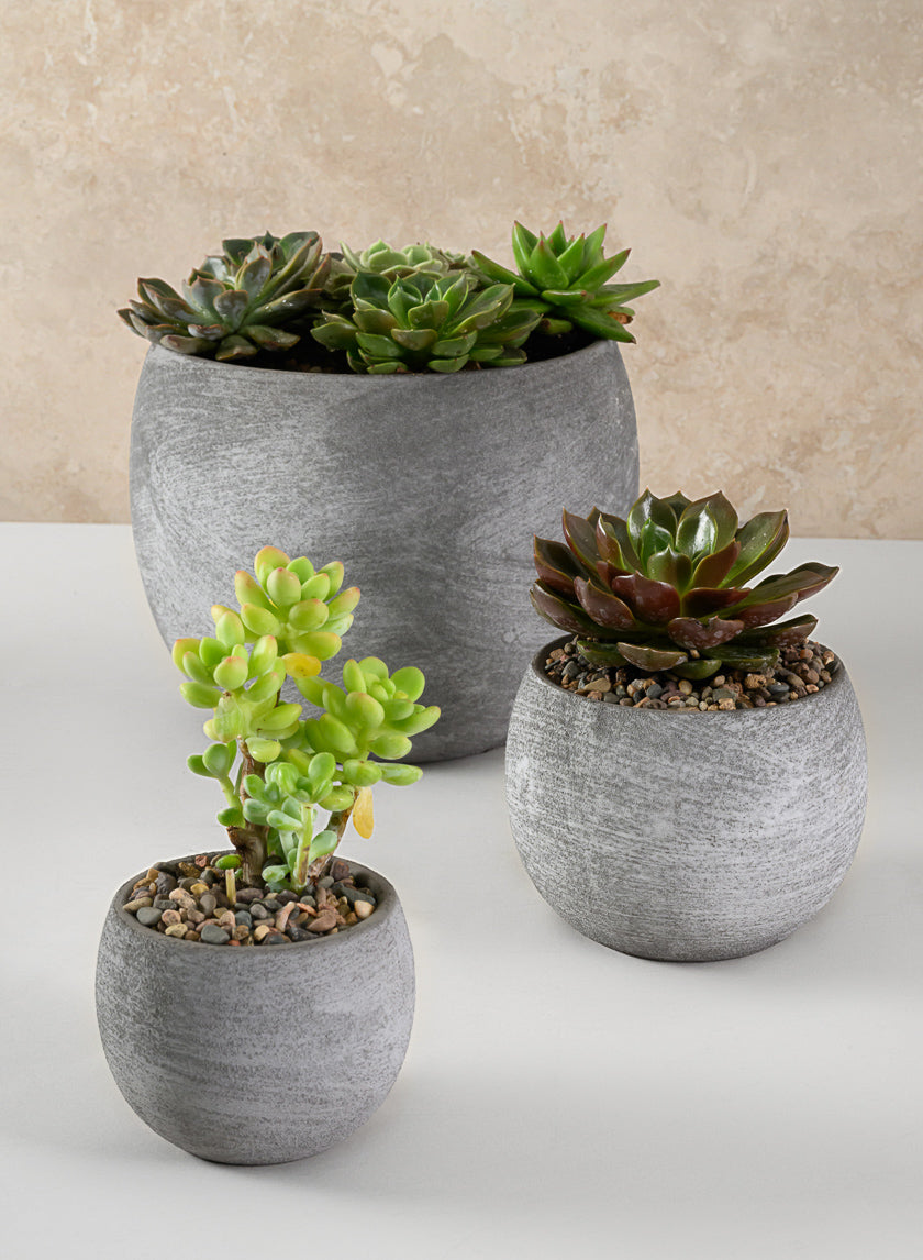 3in Tall Iquitos Venetian Grey Ceramic Mini Pot, Set of 6 Decor Jamaligarden
