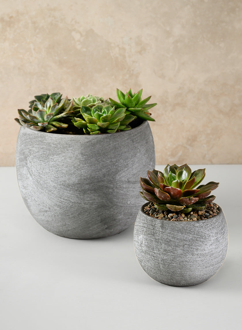 Iquitos Venetian Grey Ceramic Pot Decor Jamaligarden