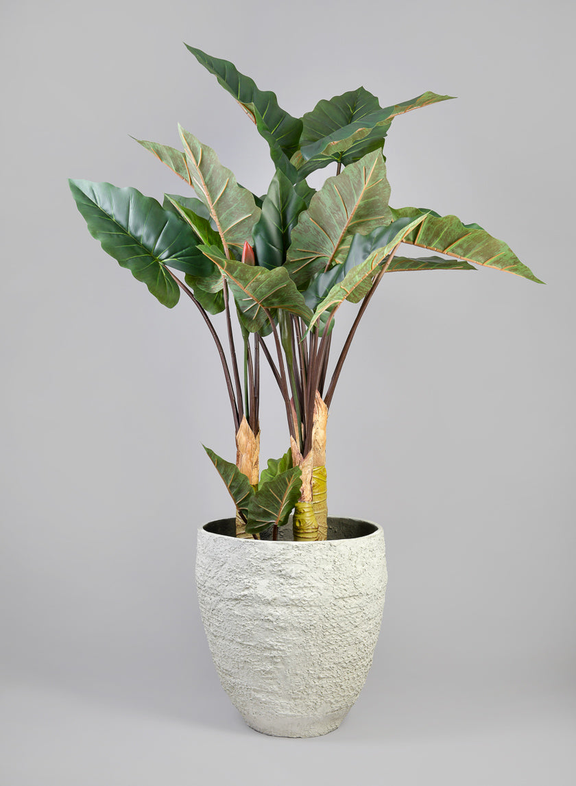 14.75in Tall Mesquite Chalk Stone Planter, Medium Decor Jamaligarden