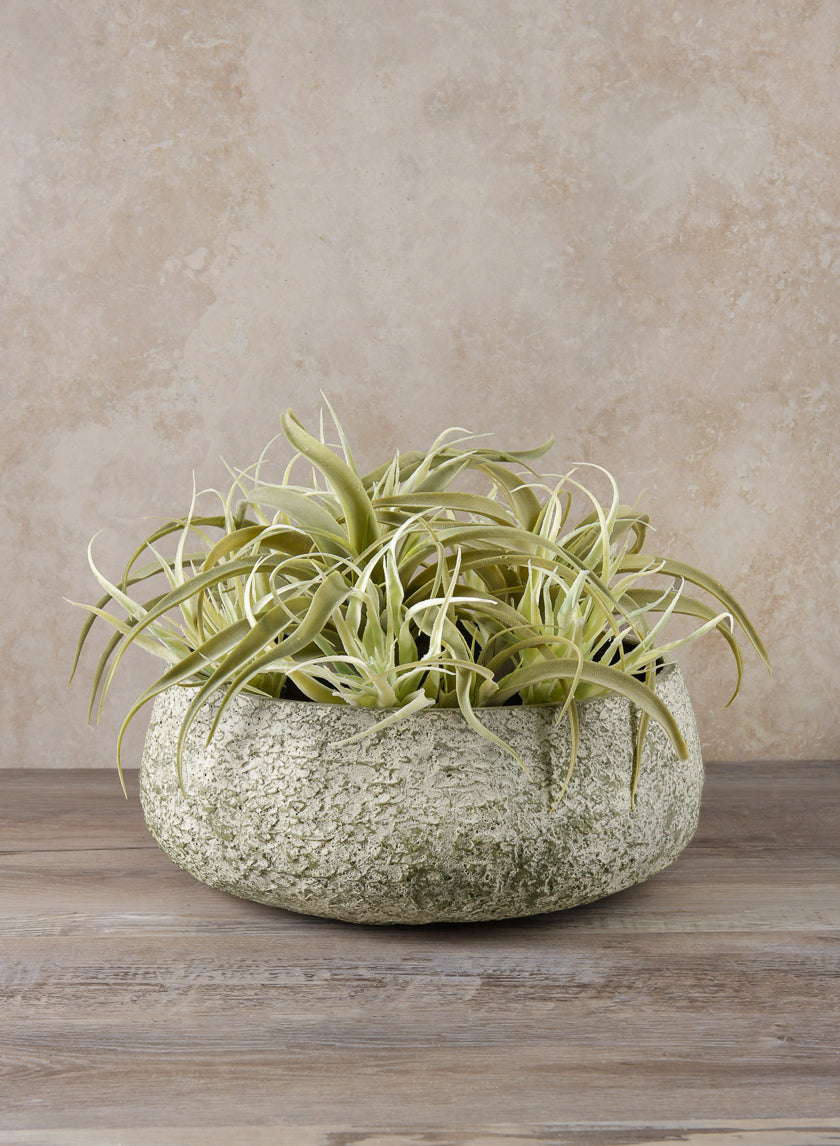 Mesquite Chalk Stone Moss Green Low Bowl Decor Jamaligarden 9in Wide EACH