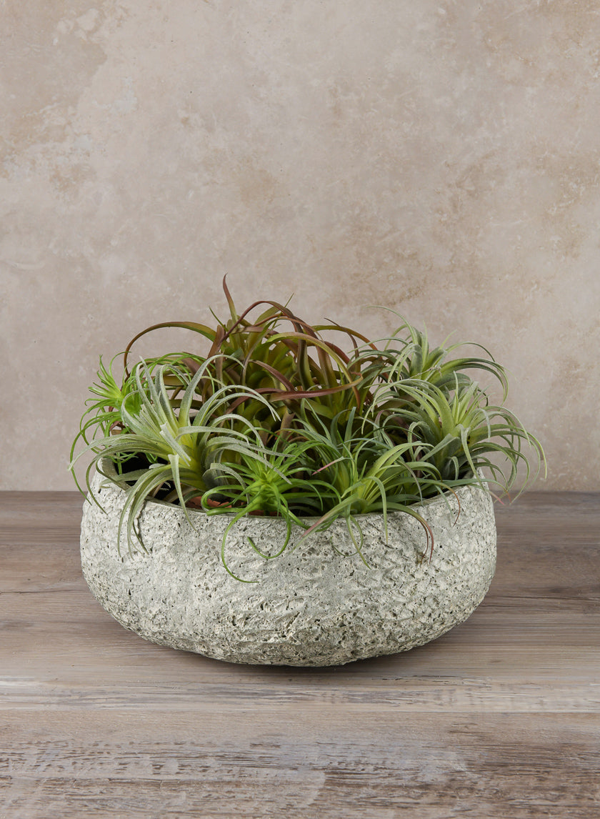 12in Wide Mesquite Chalk Stone Moss Green Low Bowl, Medium Decor Jamaligarden
