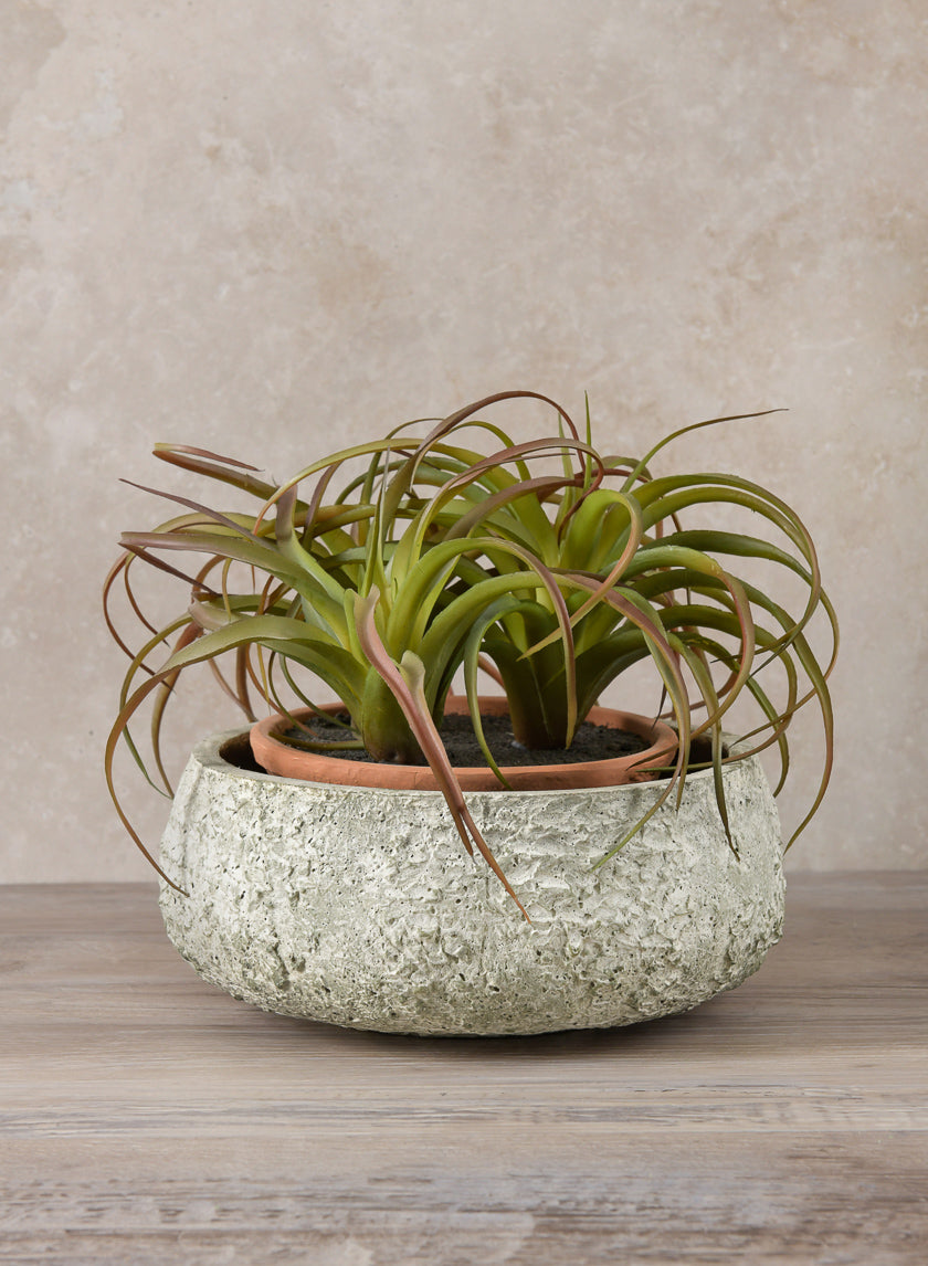 Mesquite Chalk Stone Moss Green Low Bowl Decor Jamaligarden 15.5in Wide EACH