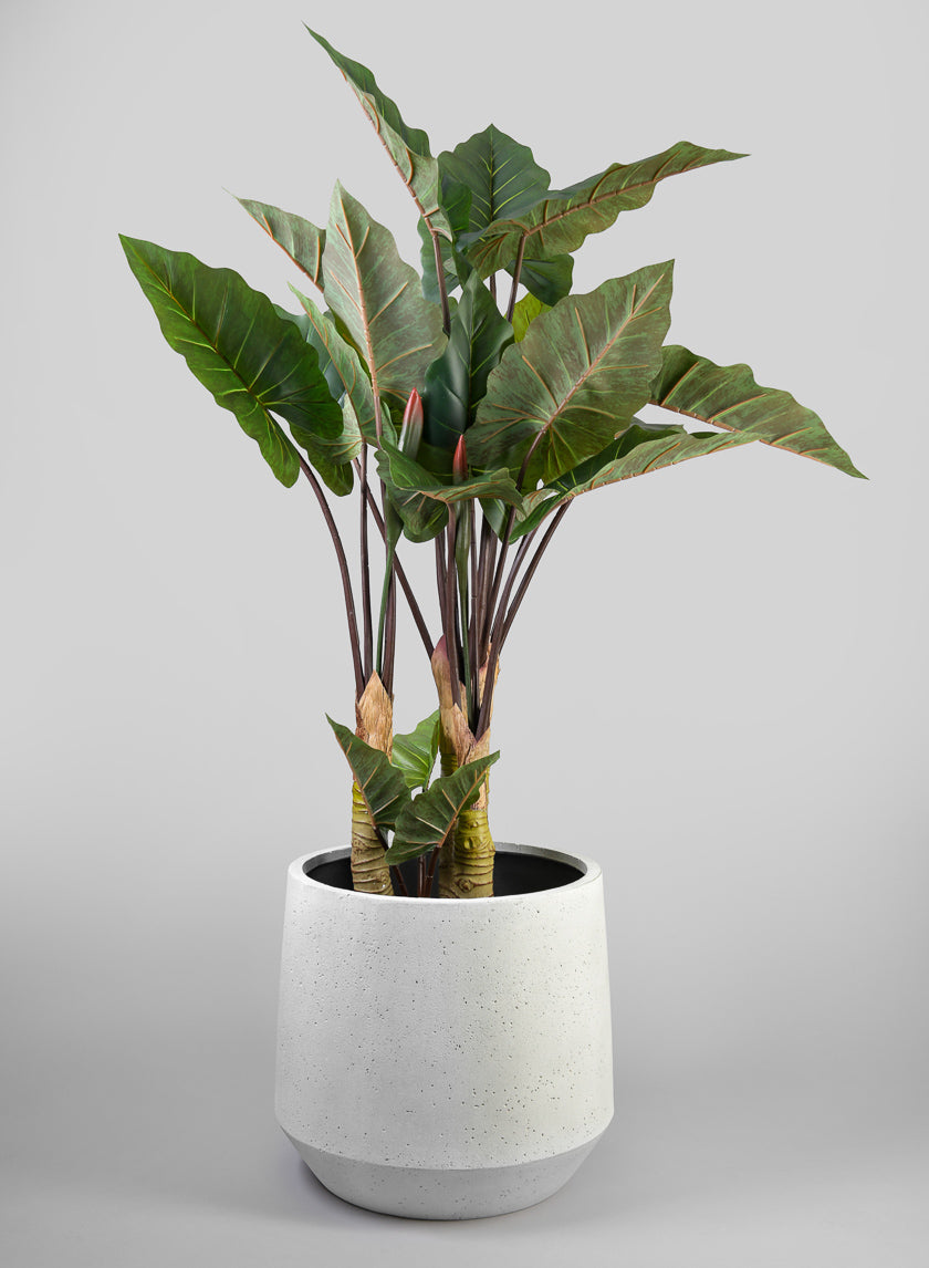 19in Tall Santa Fe Sand Rock Antique White Planter, Large Decor Jamaligarden