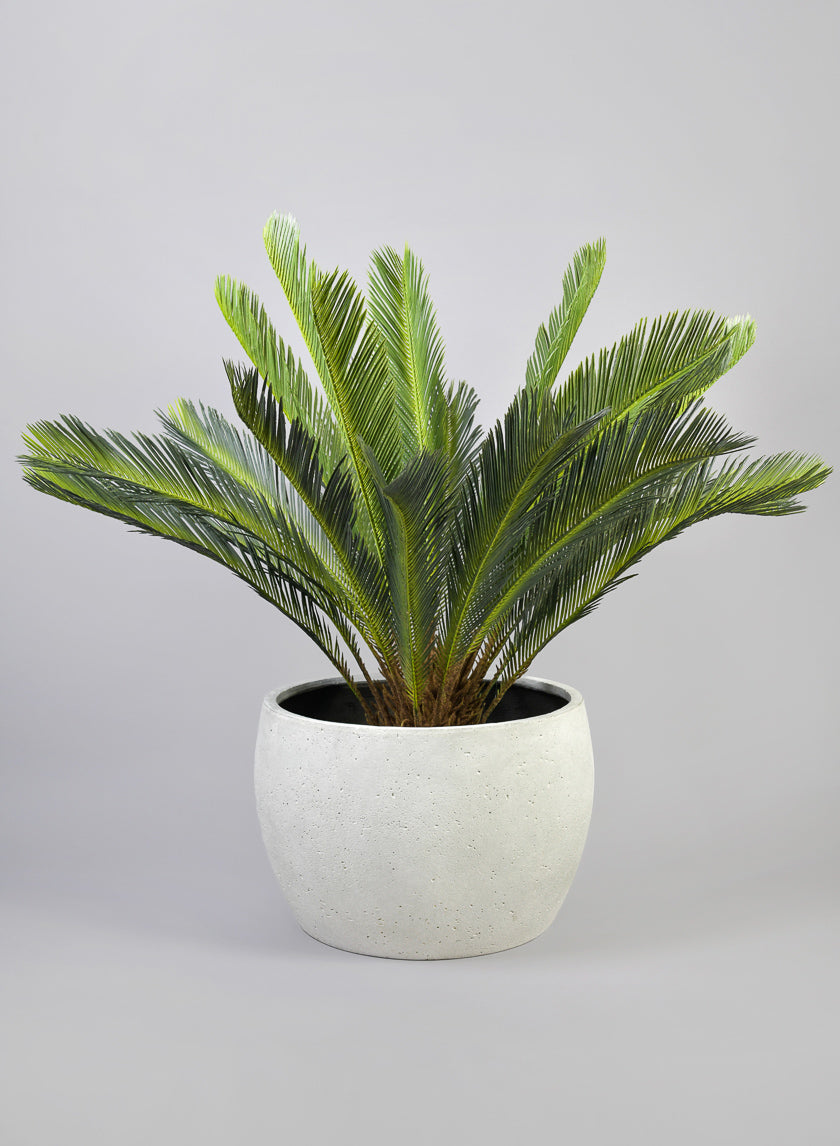 14in Tall Santa Fe Sand Rock Antique White Low Planter, Large Decor Jamaligarden