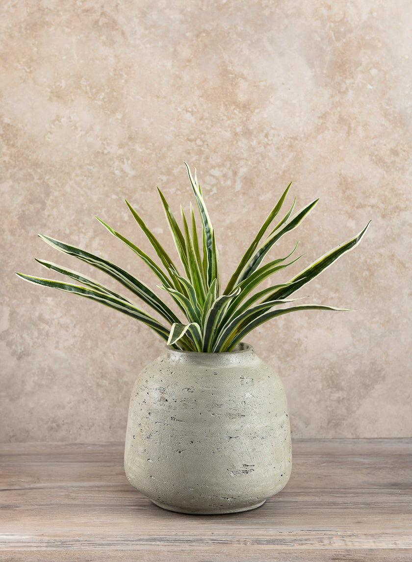 6.5in Tall Atzi Natural White Deco Vase Decor Jamaligarden