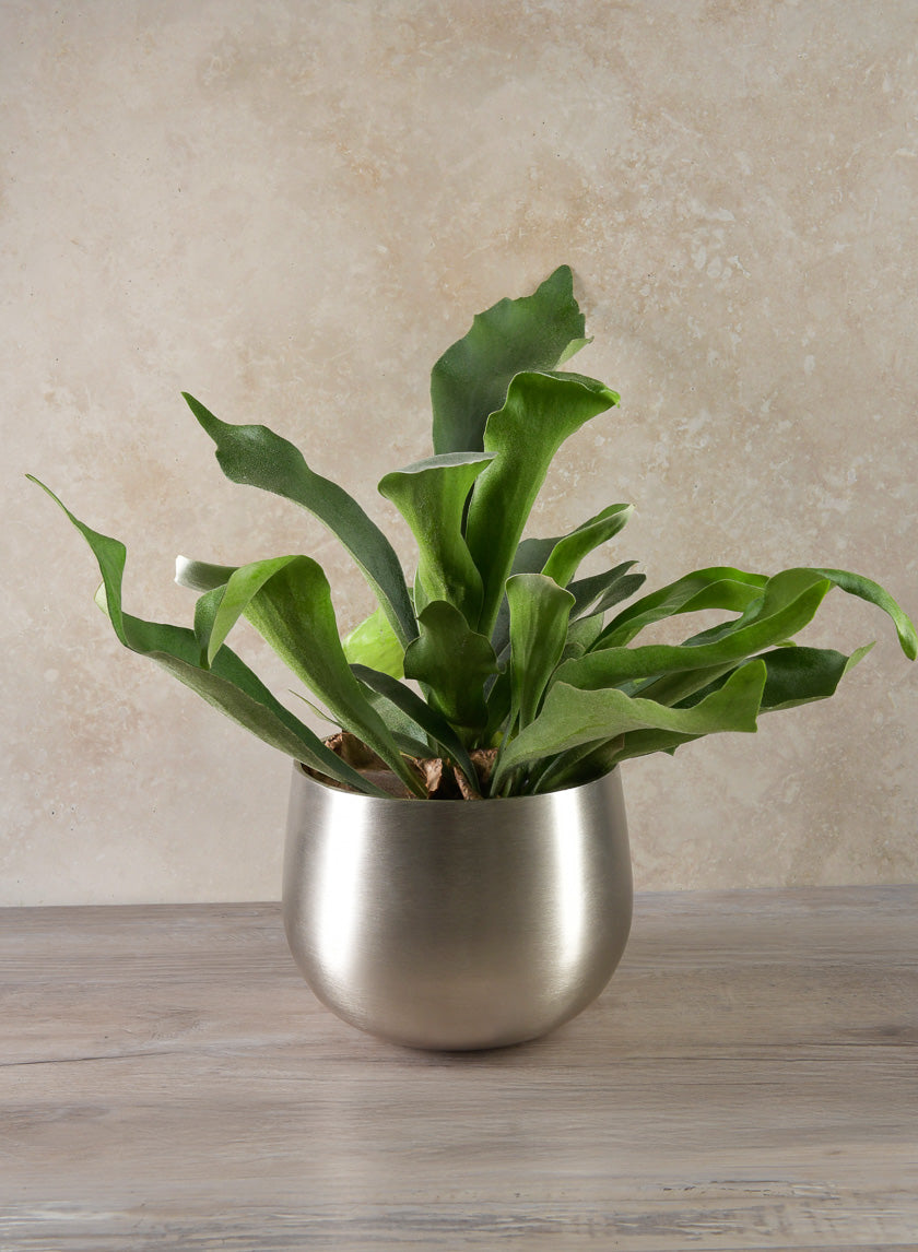 7in Tall Araami Matte Silver Aluminum Bowl Decor Jamaligarden
