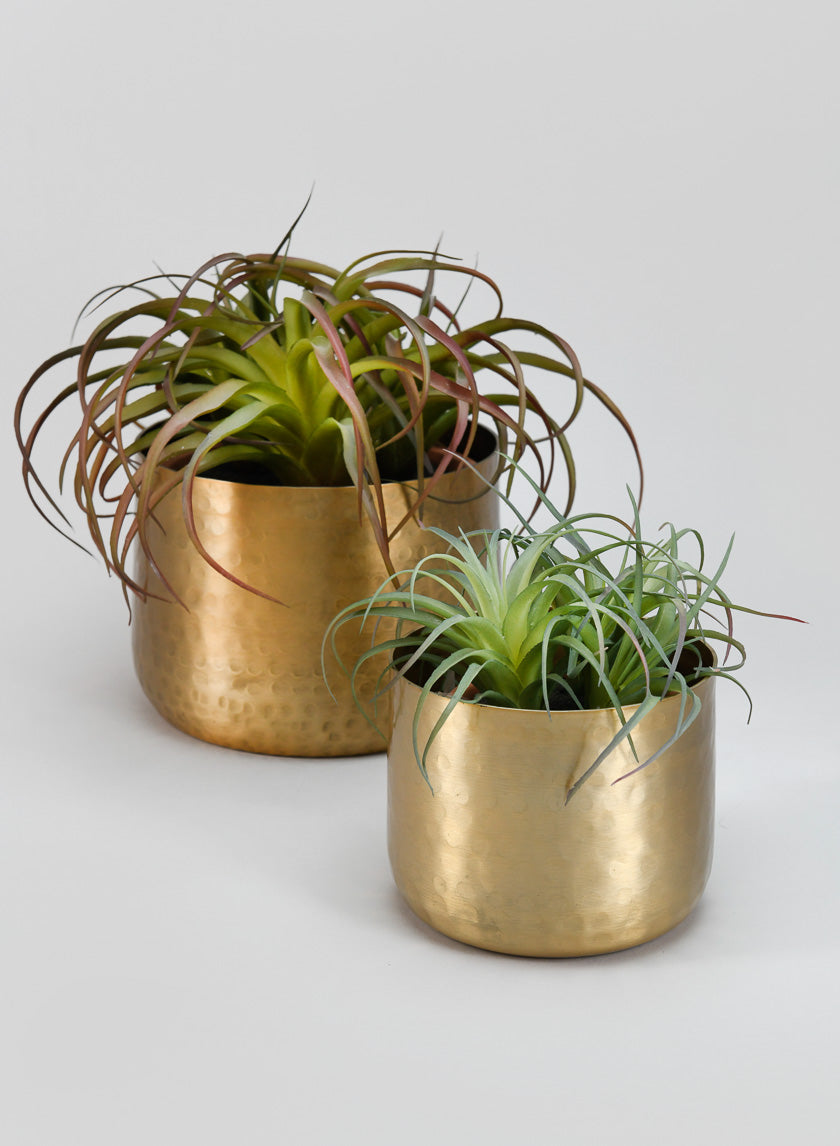 Mysore Brass Look Aluminum Pot Decor Jamaligarden