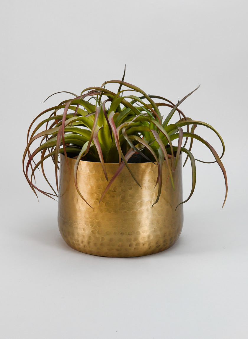 Mysore Brass Look Aluminum Pot Decor Jamaligarden