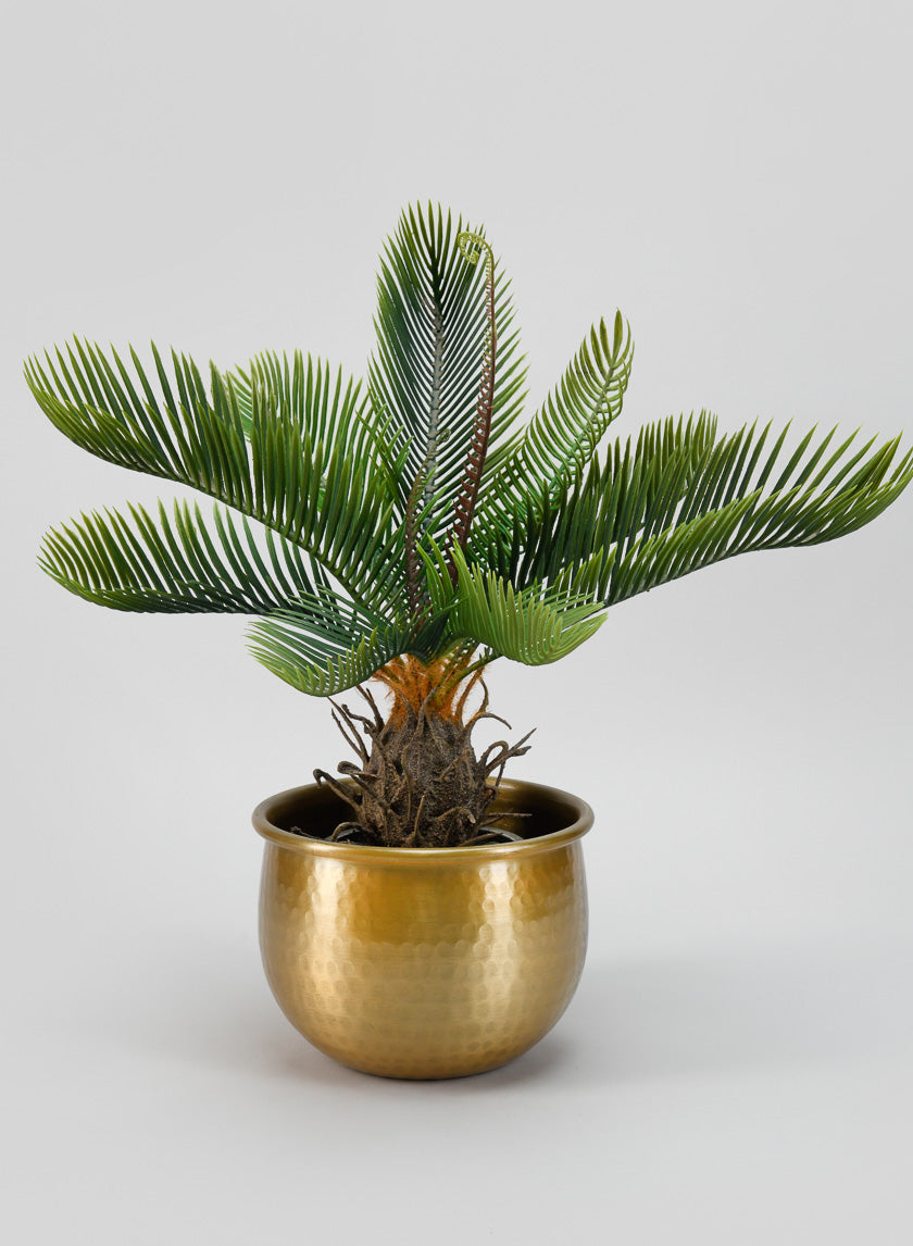 6.75in Wide Devdas Brass Look Aluminum Indoor Garden Pot, Small Decor Jamaligarden