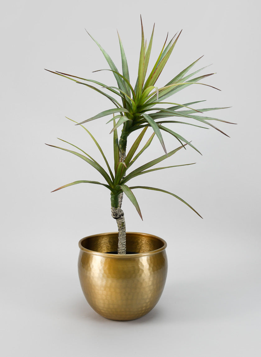 9in Wide Devdas Brass Look Aluminum Indoor Garden Pot, Medium Decor Jamaligarden