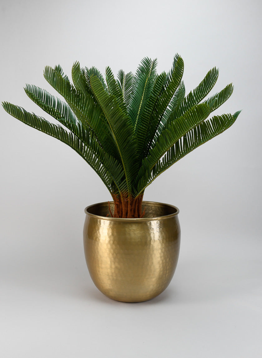 10.75in Wide Devdas Brass Look Aluminum Indoor Garden Pot, Large Decor Jamaligarden