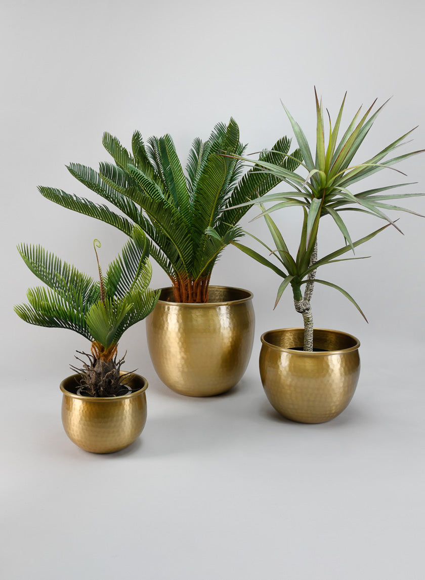 9in Wide Devdas Brass Look Aluminum Indoor Garden Pot, Medium Decor Jamaligarden