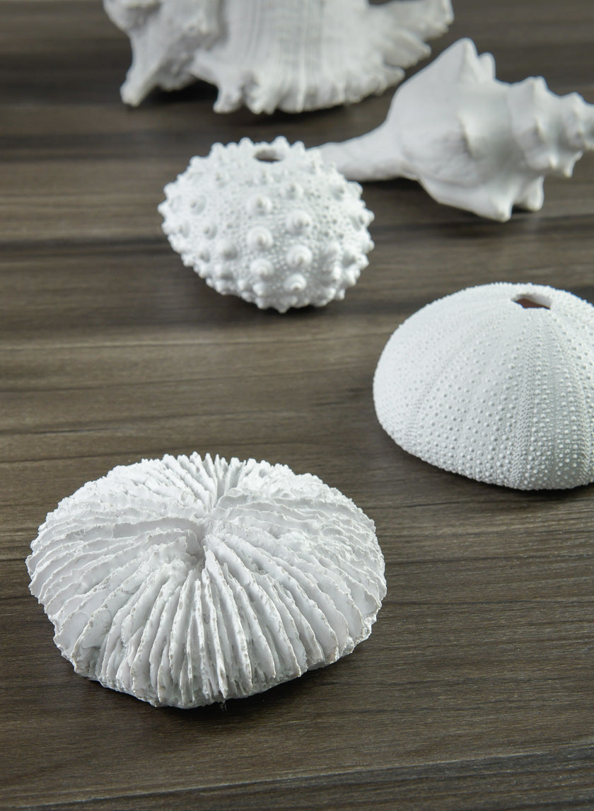 Artificial White Sea Urchins, Set of 3 Decor Jamaligarden