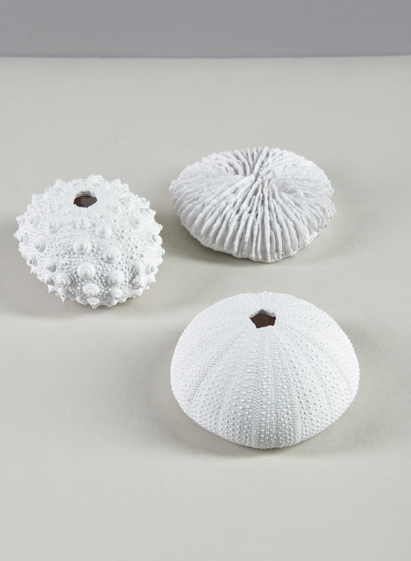Artificial White Sea Urchins, Set of 3 Decor Jamaligarden