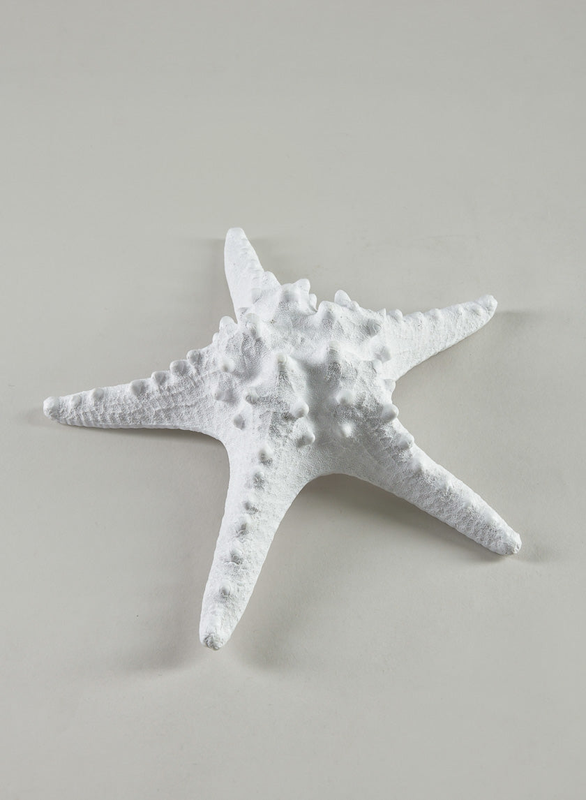 9in Long Artificial Giant White Knobby Starfish Decor Jamaligarden