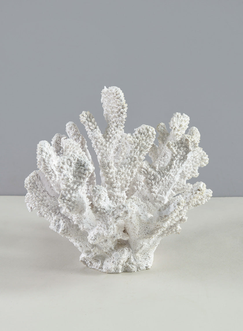 6in Long Artificial White Finger Coral Decor Jamaligarden