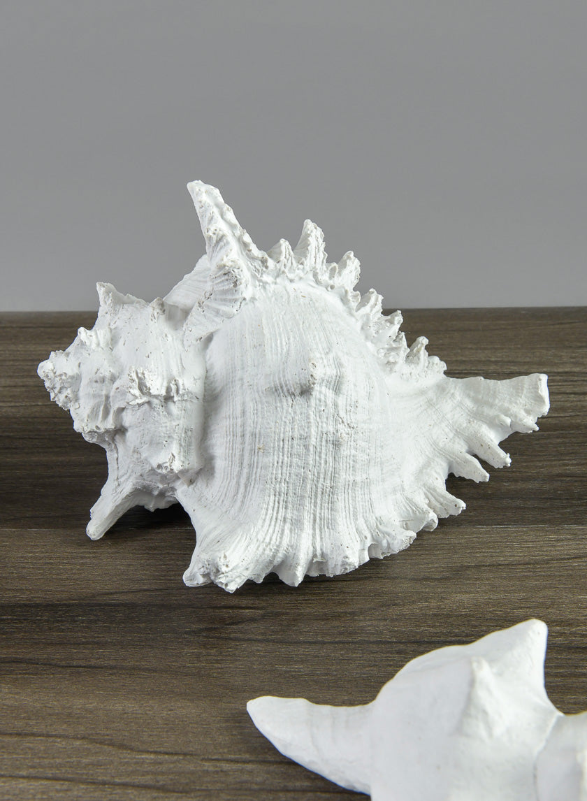 7.5in Long Artificial Giant Murex Seashell Decor Jamaligarden