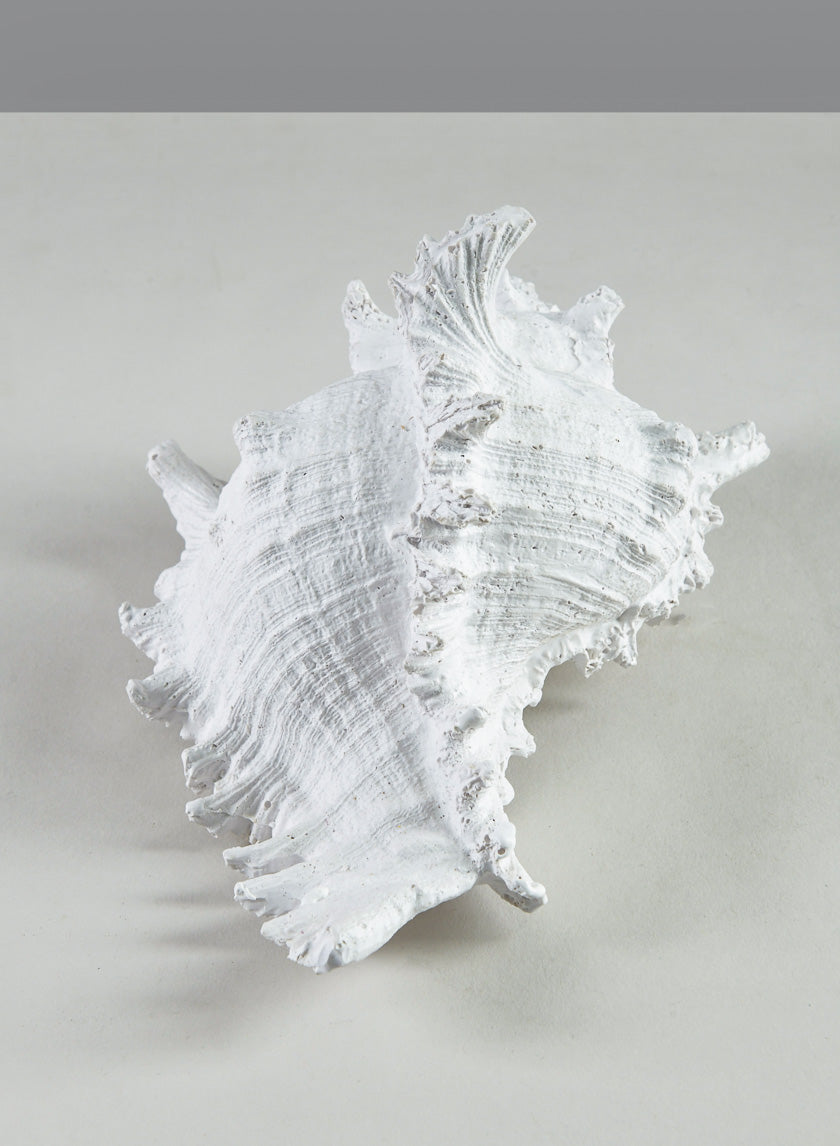 7.5in Long Artificial Giant Murex Seashell Decor Jamaligarden