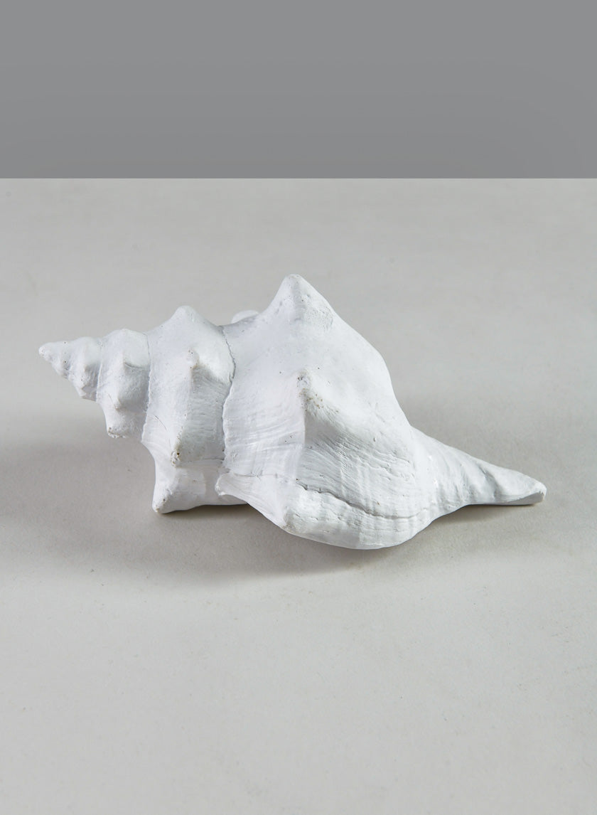 5.5in Long Artificial Florida Horse Conch Seashell Decor Jamaligarden