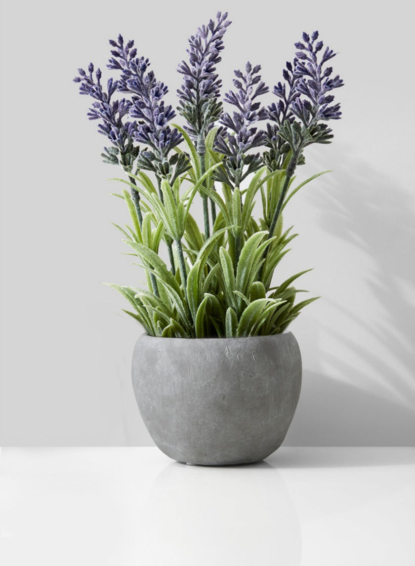 Atelier Cement Fishbowl Vase Decor Jamaligarden
