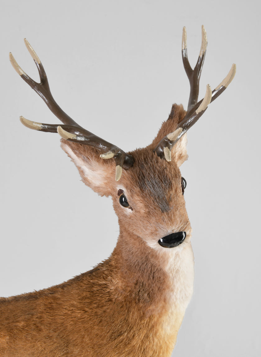 22in Natural Deer Decor Jamaligarden