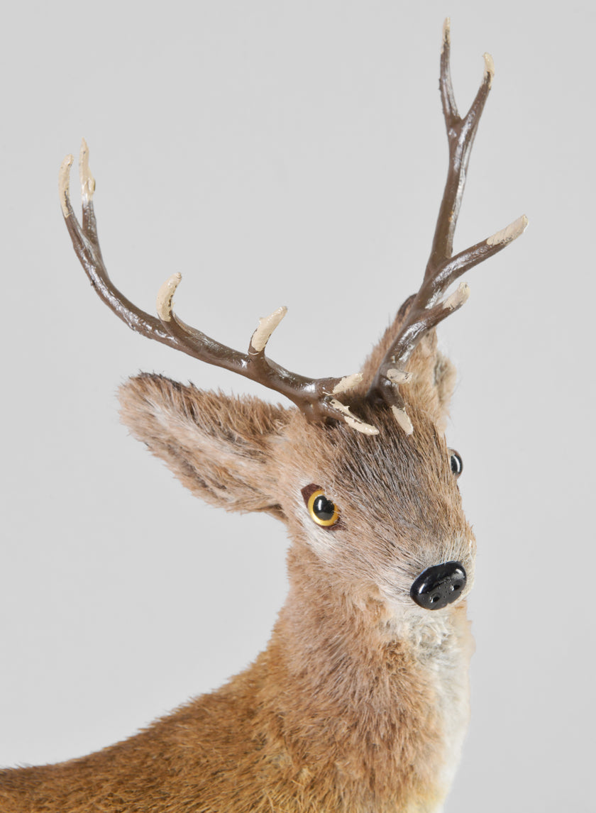 16in Tall Natural Deer Decor Jamaligarden