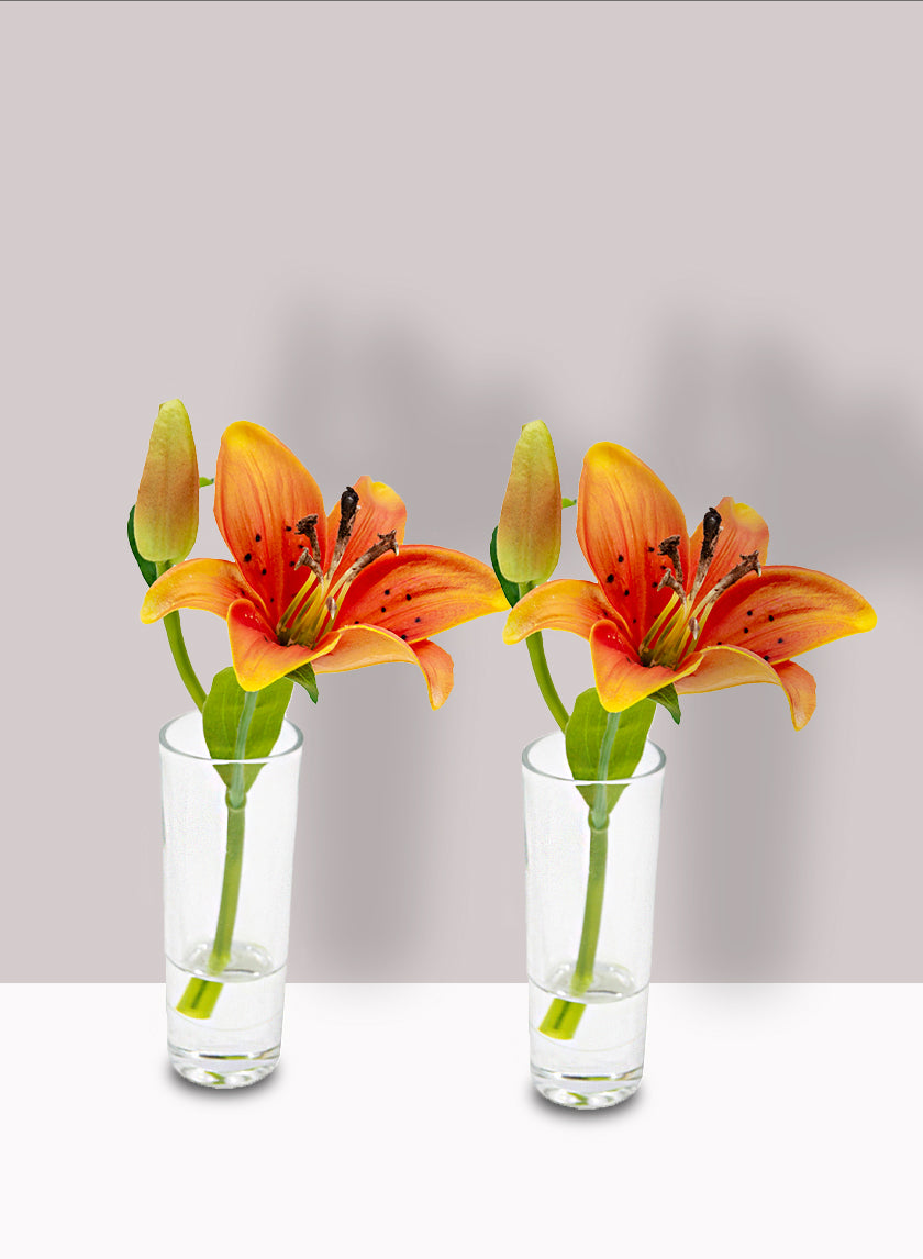 Burnt Orange Lily &amp; Bud in Clear Shot Glass, Set of 2 Decor Jamaligarden