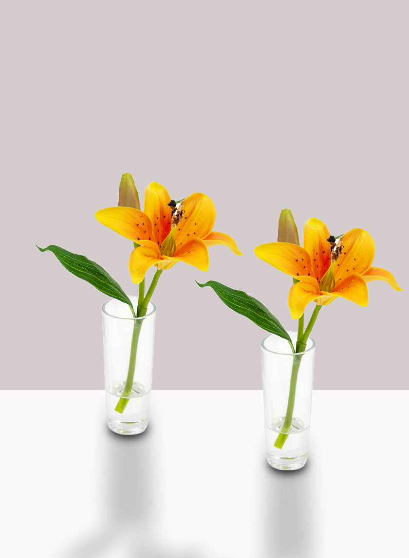 Orange Lily &amp; Bud in Clear Shot Glass Decor Jamaligarden
