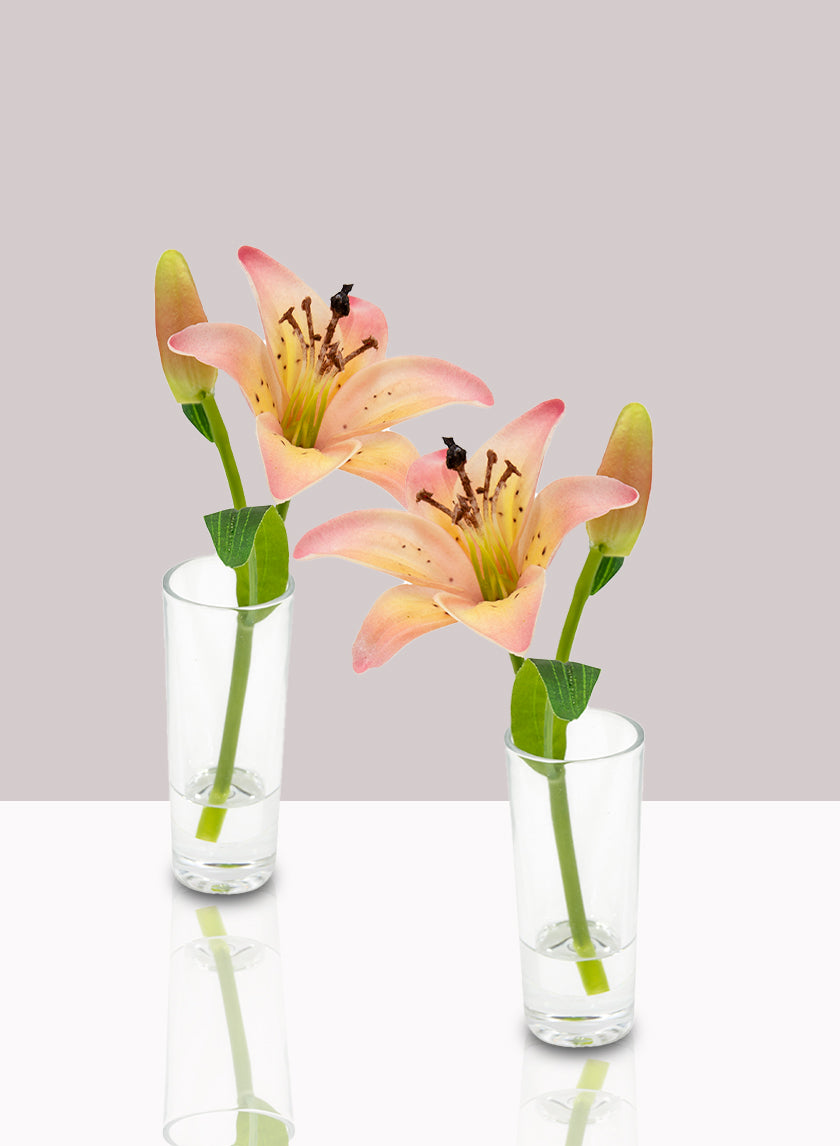 Pink Lily &amp; Bud in Clear Shot Glass, Set of 2 Decor Jamaligarden
