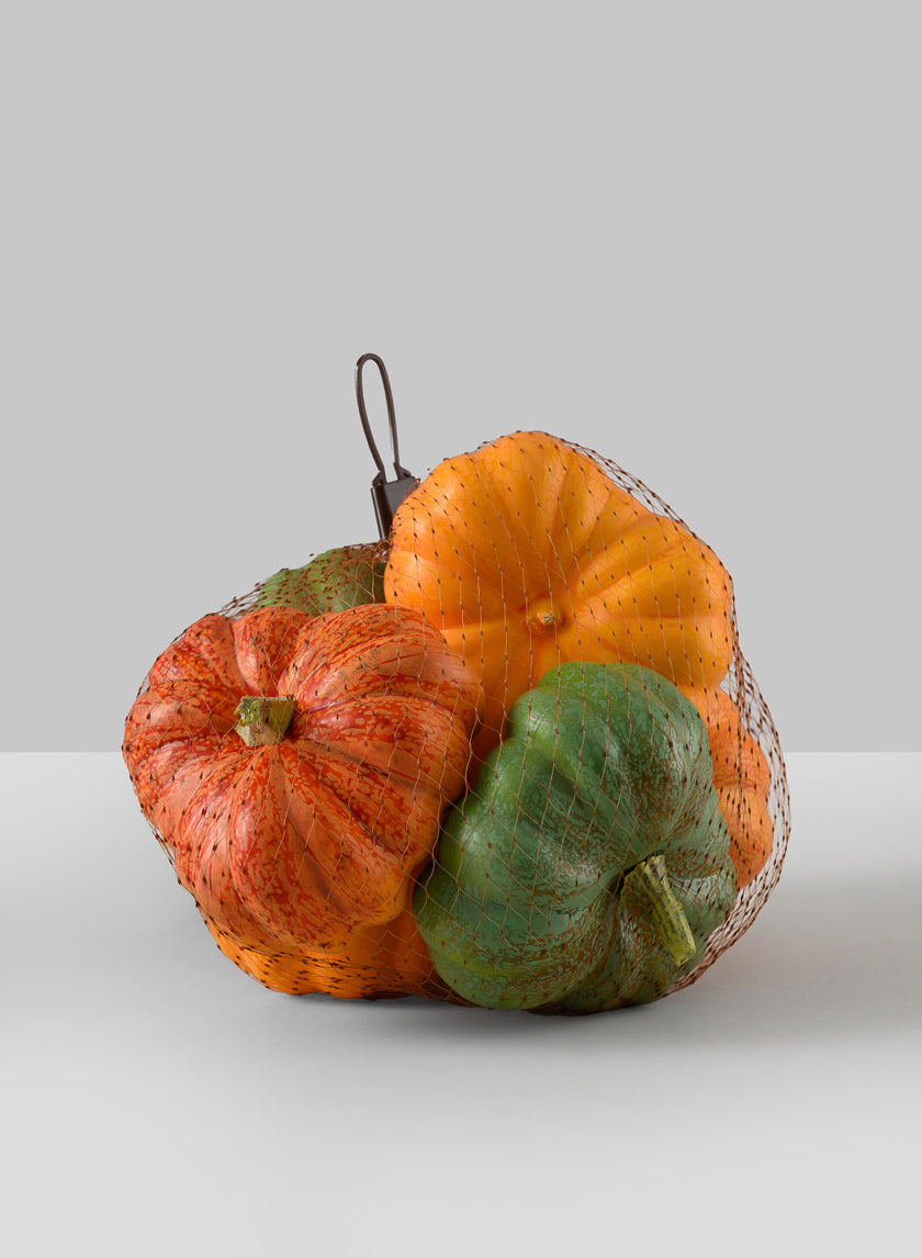 Fresh Farm Multi Color Mini Pumpkins, Bag of 6 Decor Jamaligarden
