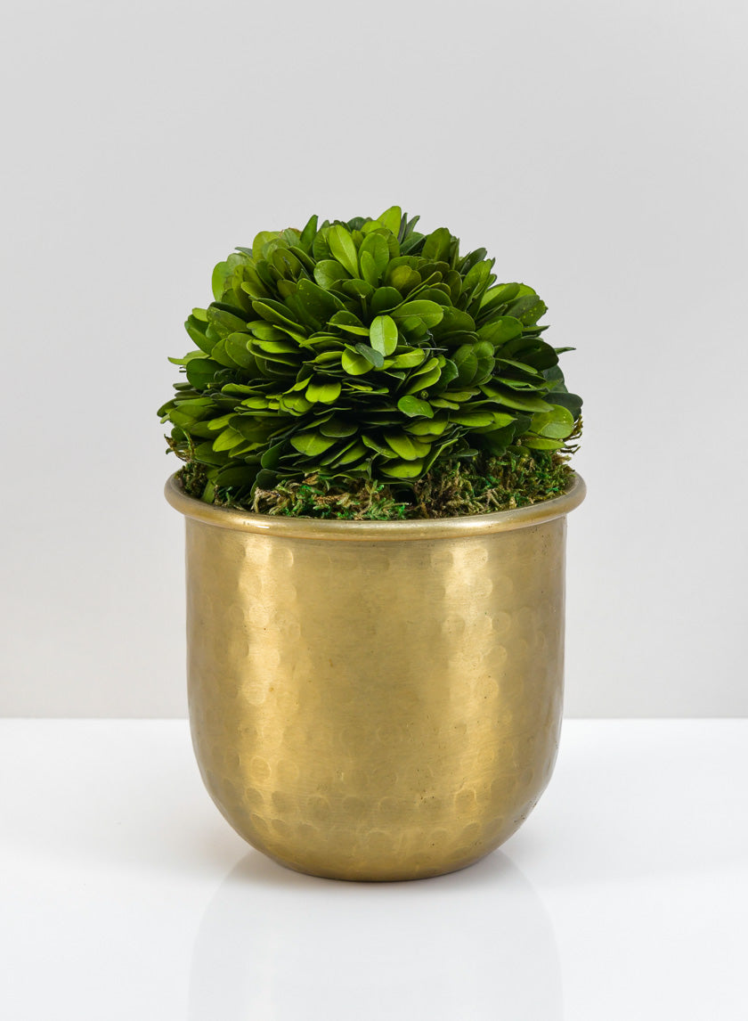LuckNow Brass look Aluminum Pot Decor Jamaligarden