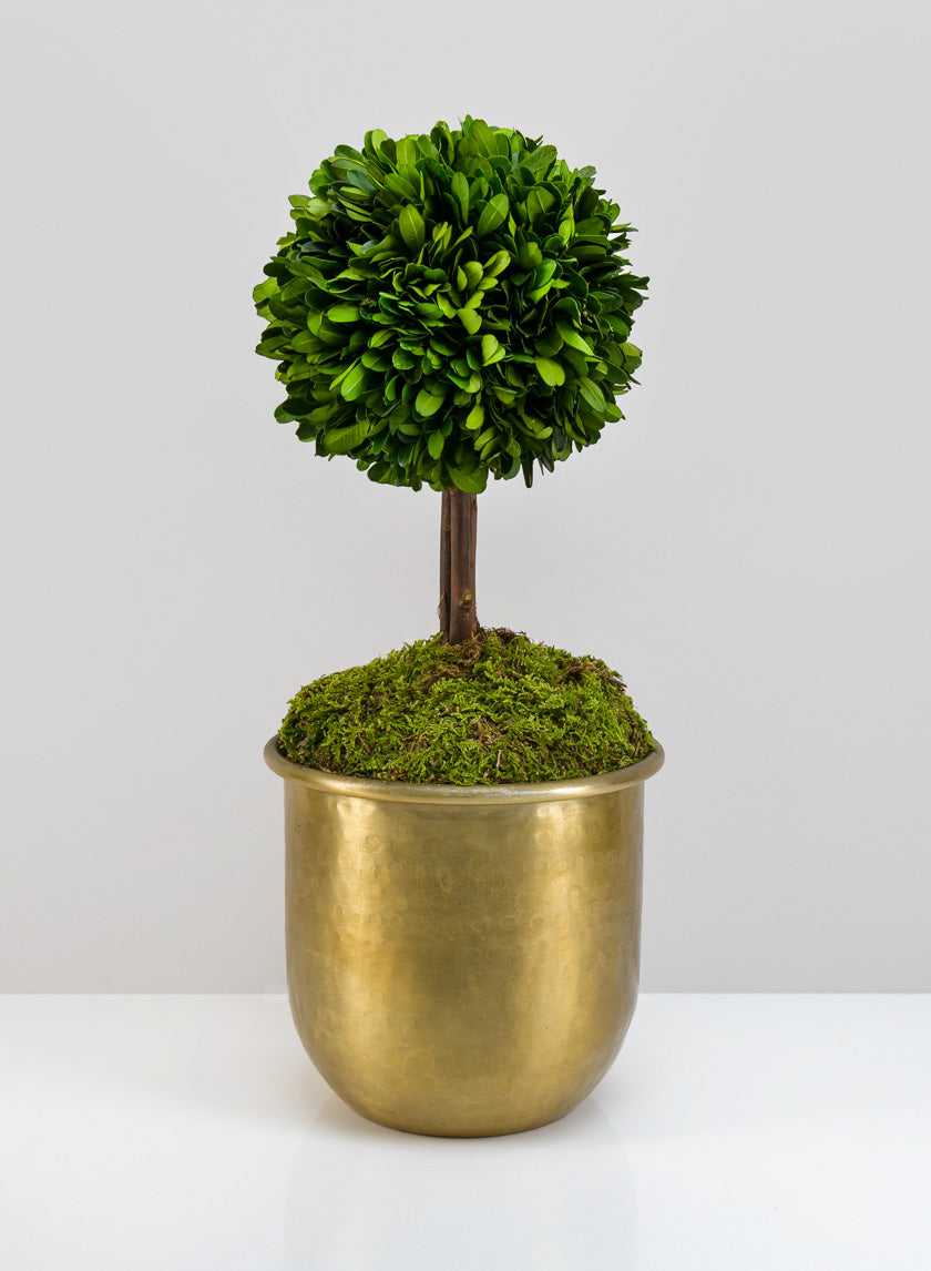 LuckNow Brass look Aluminum Pot Decor Jamaligarden