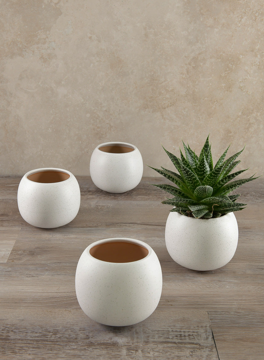4.5in Wide Jorvik White Ceramic Fishbowl Decor Jamaligarden